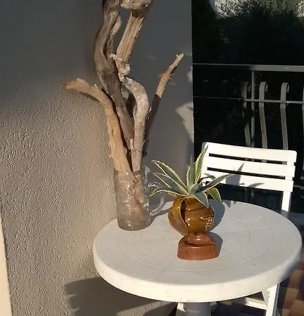 Le Stanze Di Rosa Πανσιόν Monsano